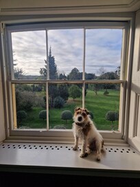 Louis loved his room