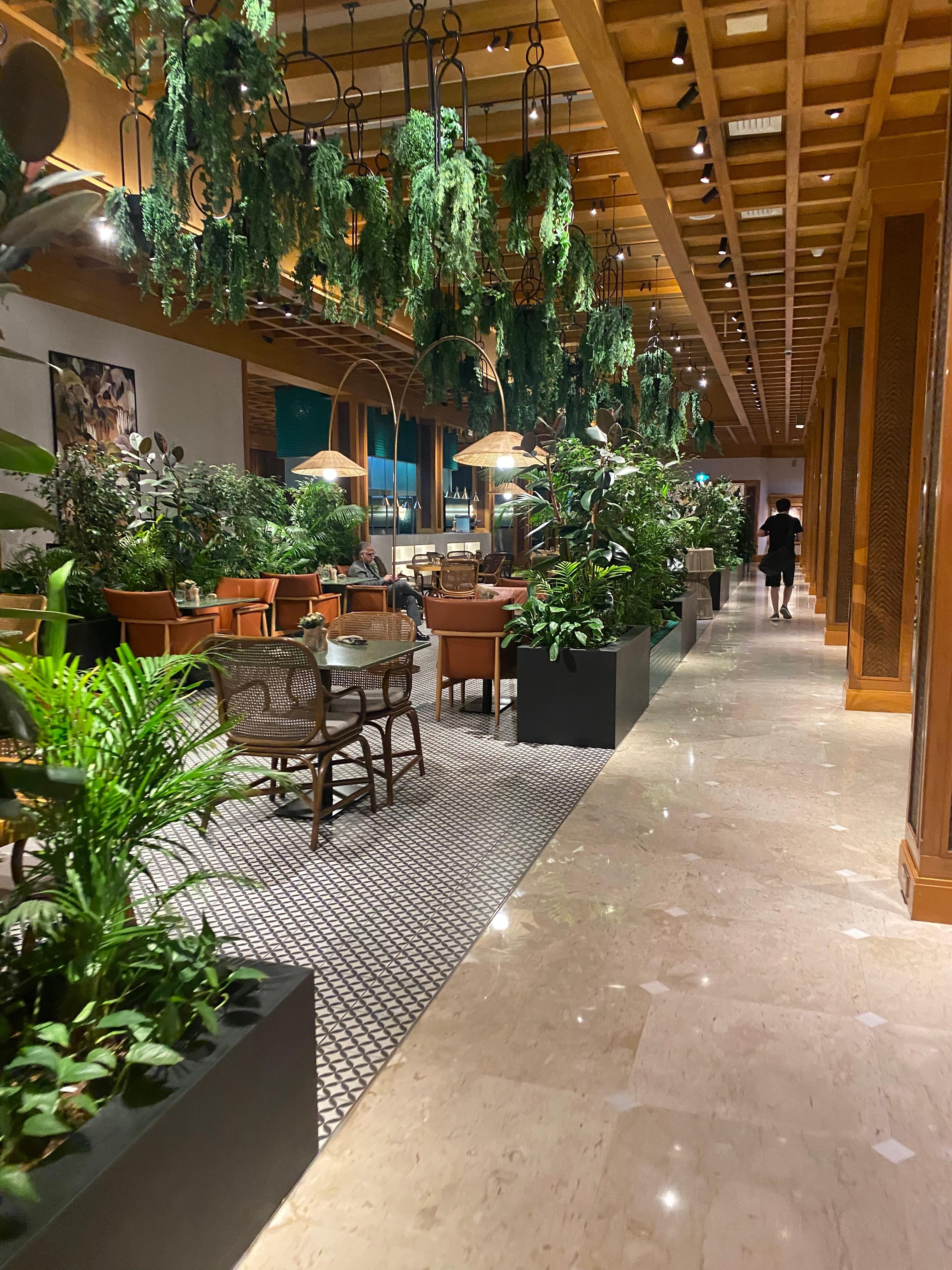 From the wintergarden, and where breakfast is served.