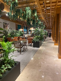 From the wintergarden, and where breakfast is served.