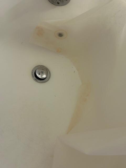 Mold in the shower 