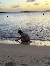 Hunting for sea glass