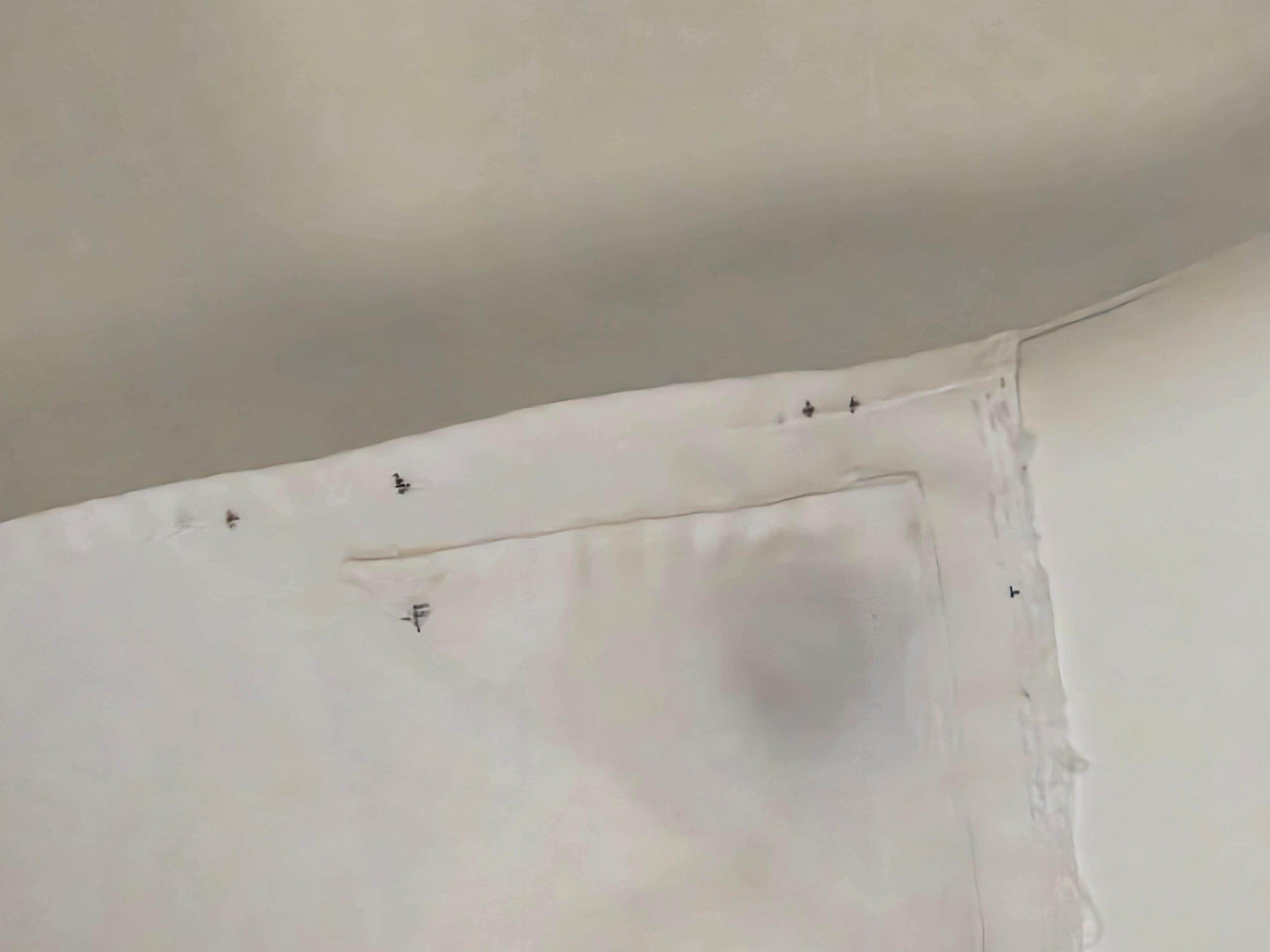 Bug
