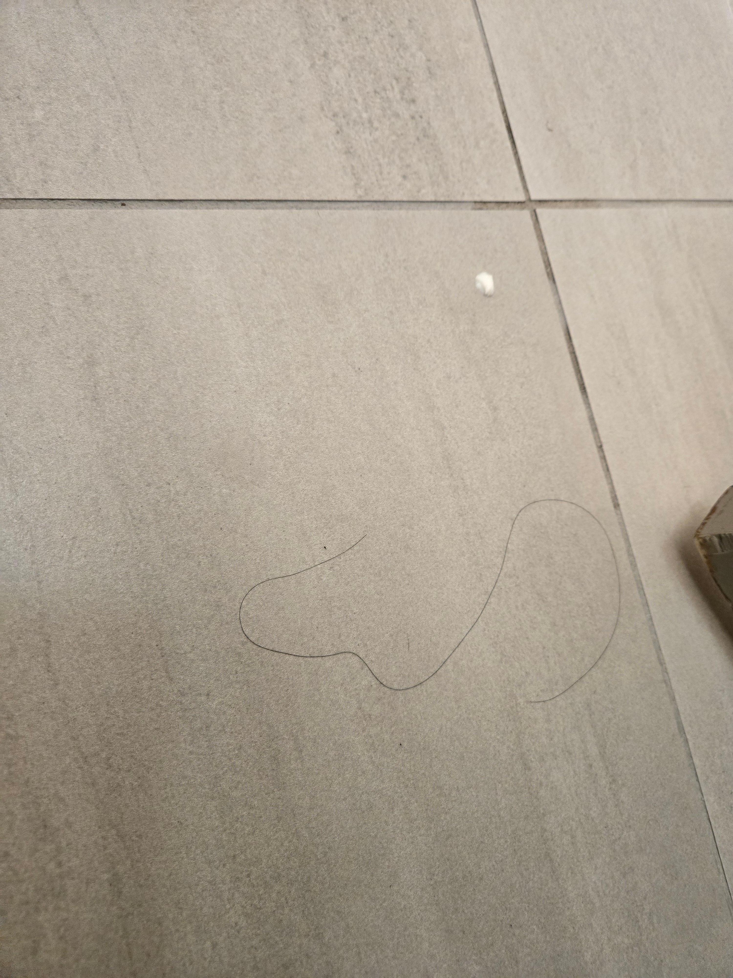 Hairs on the bathroom floor