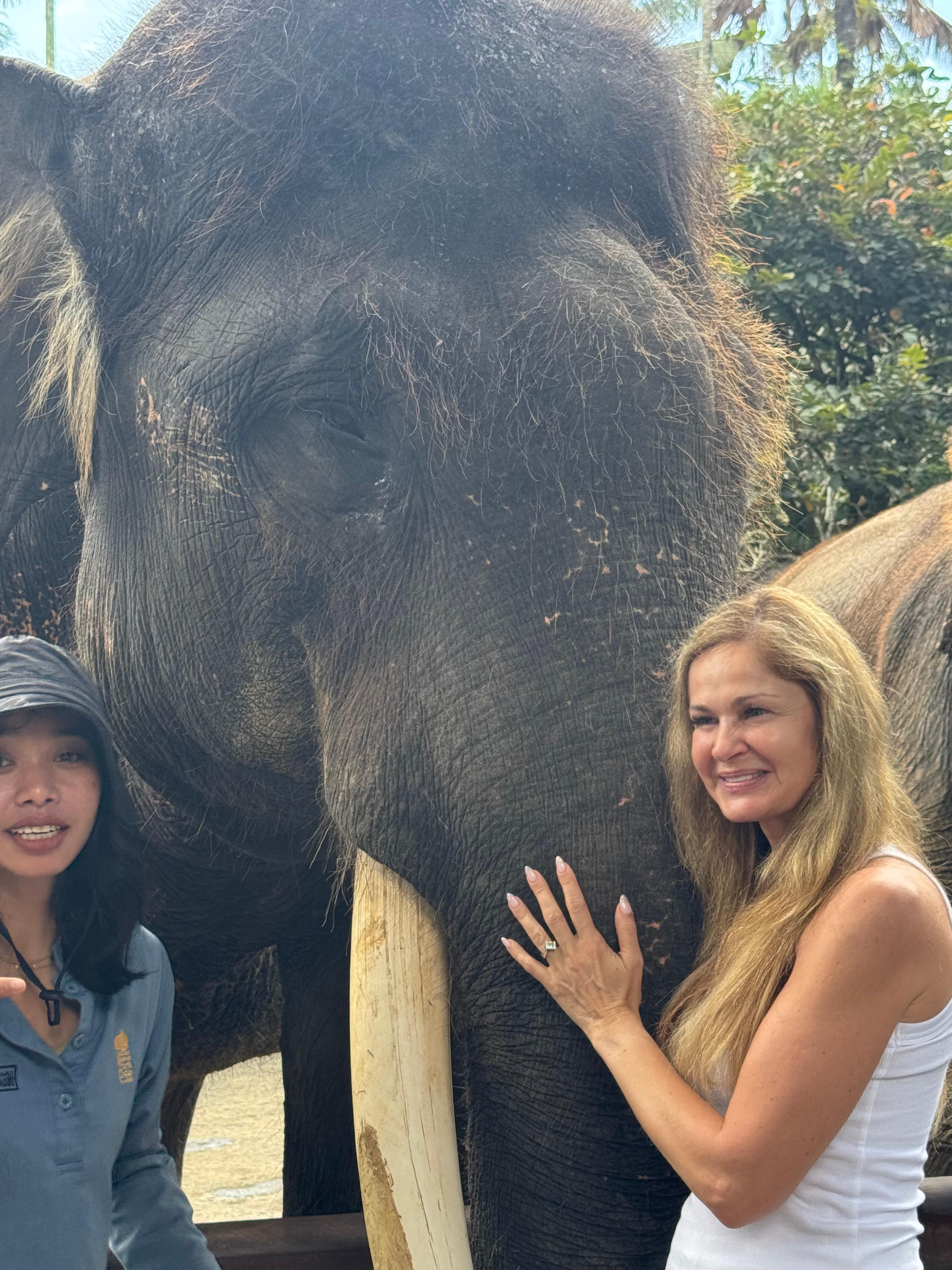 Time with elephants