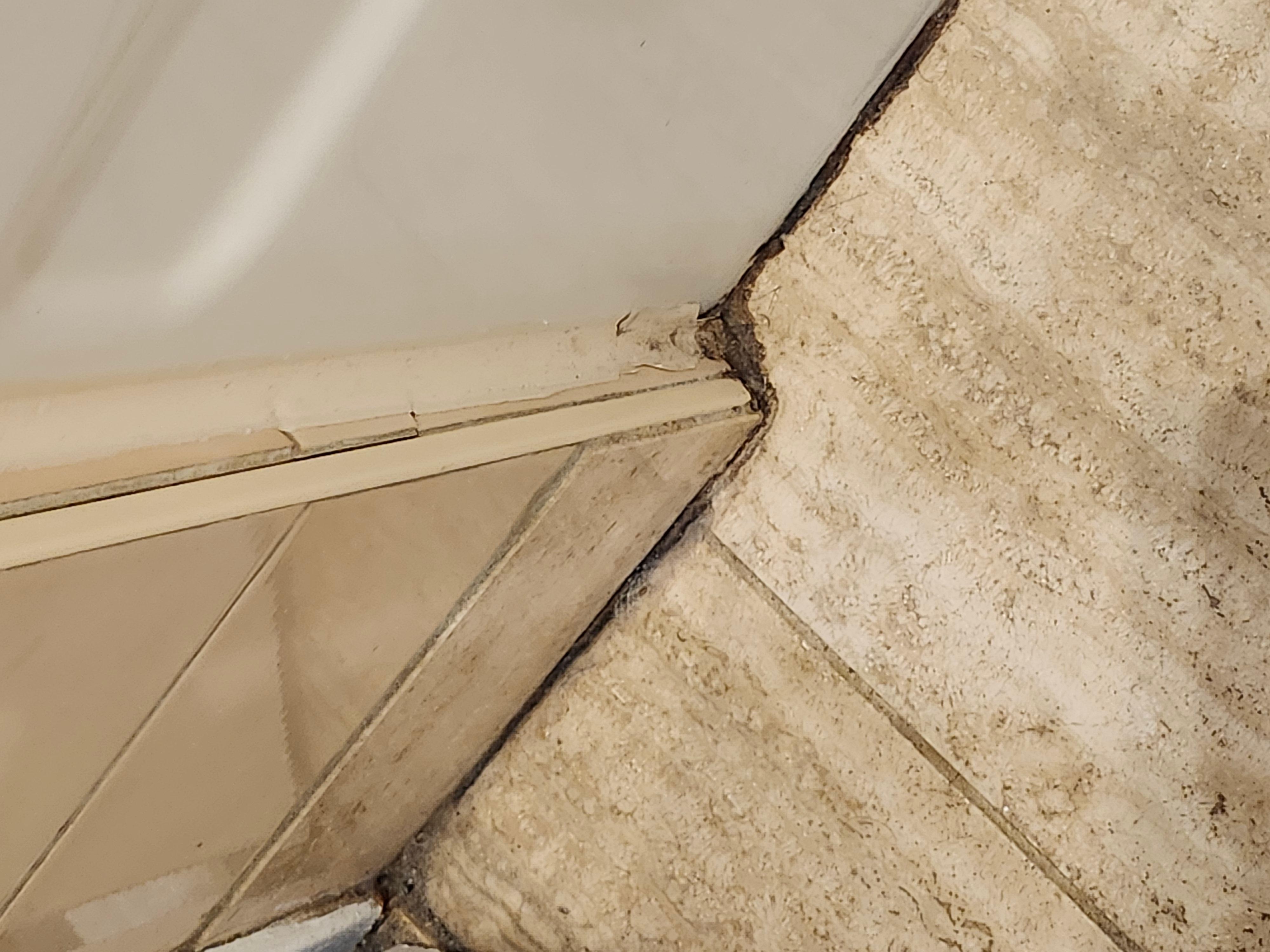 Dirt and mold around bath tub