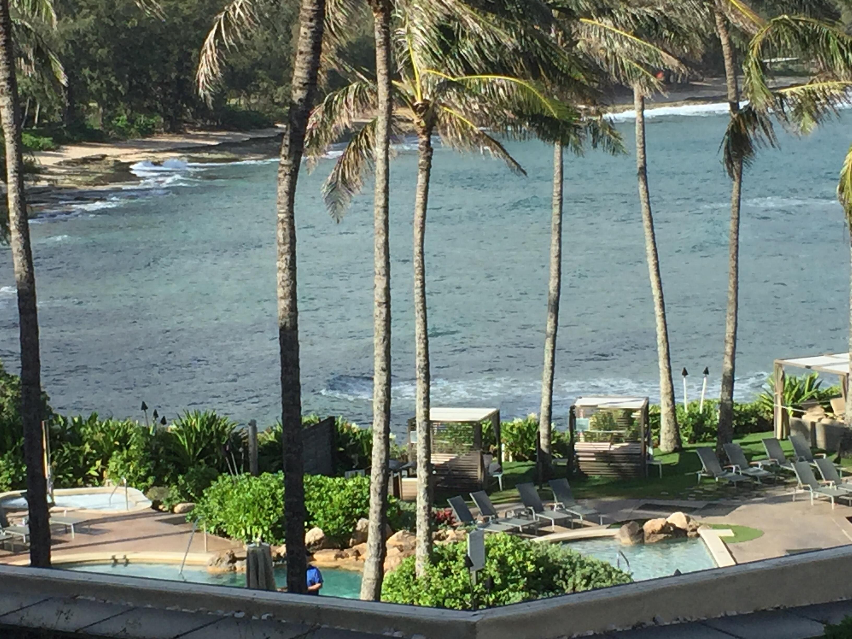 View from the lanai