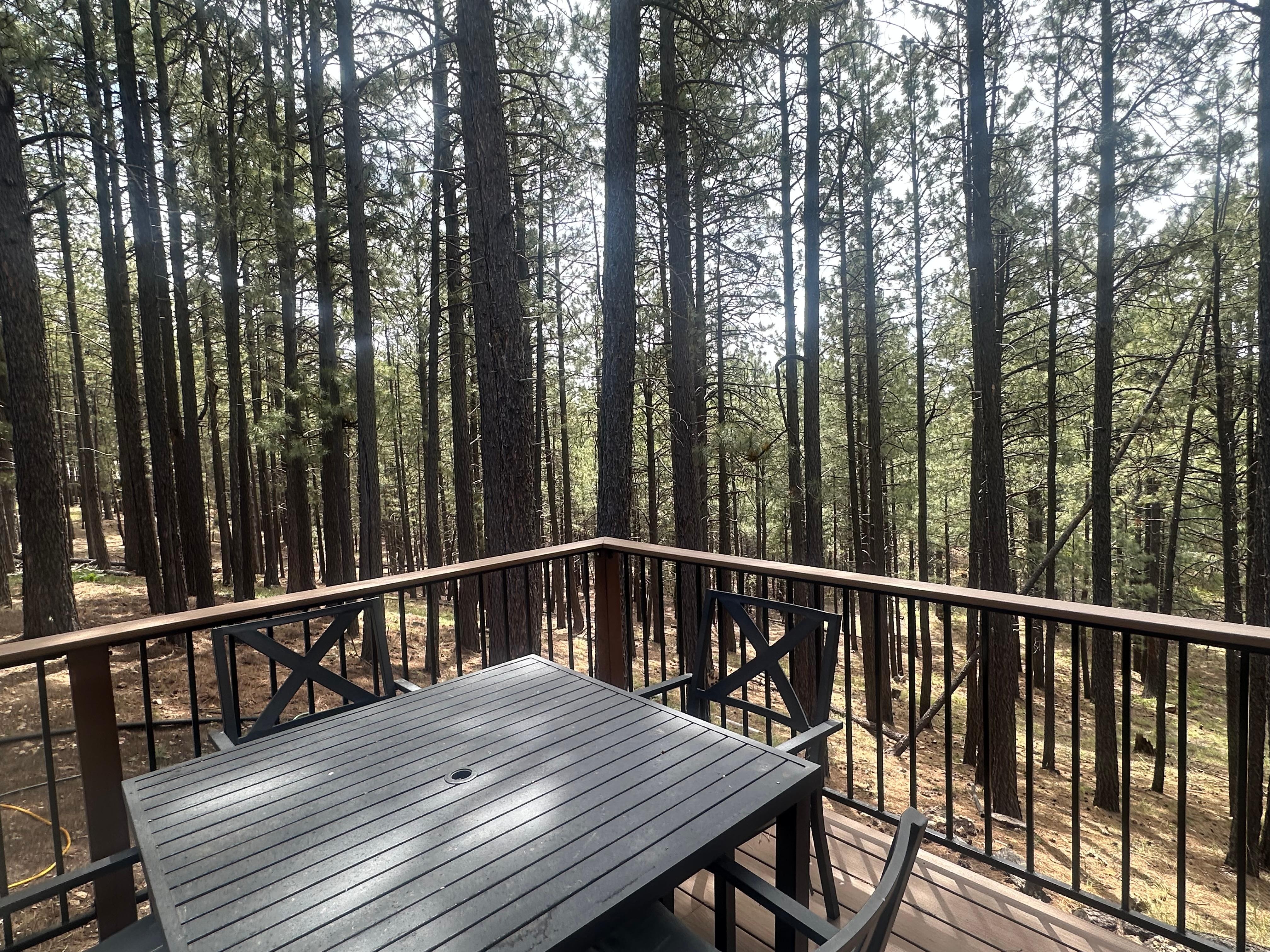 View from back patio 