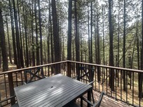 View from back patio