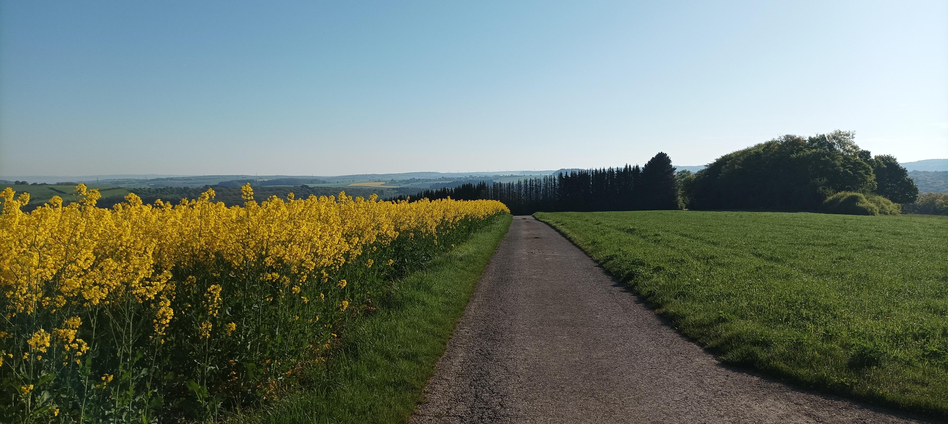 Omgeving 