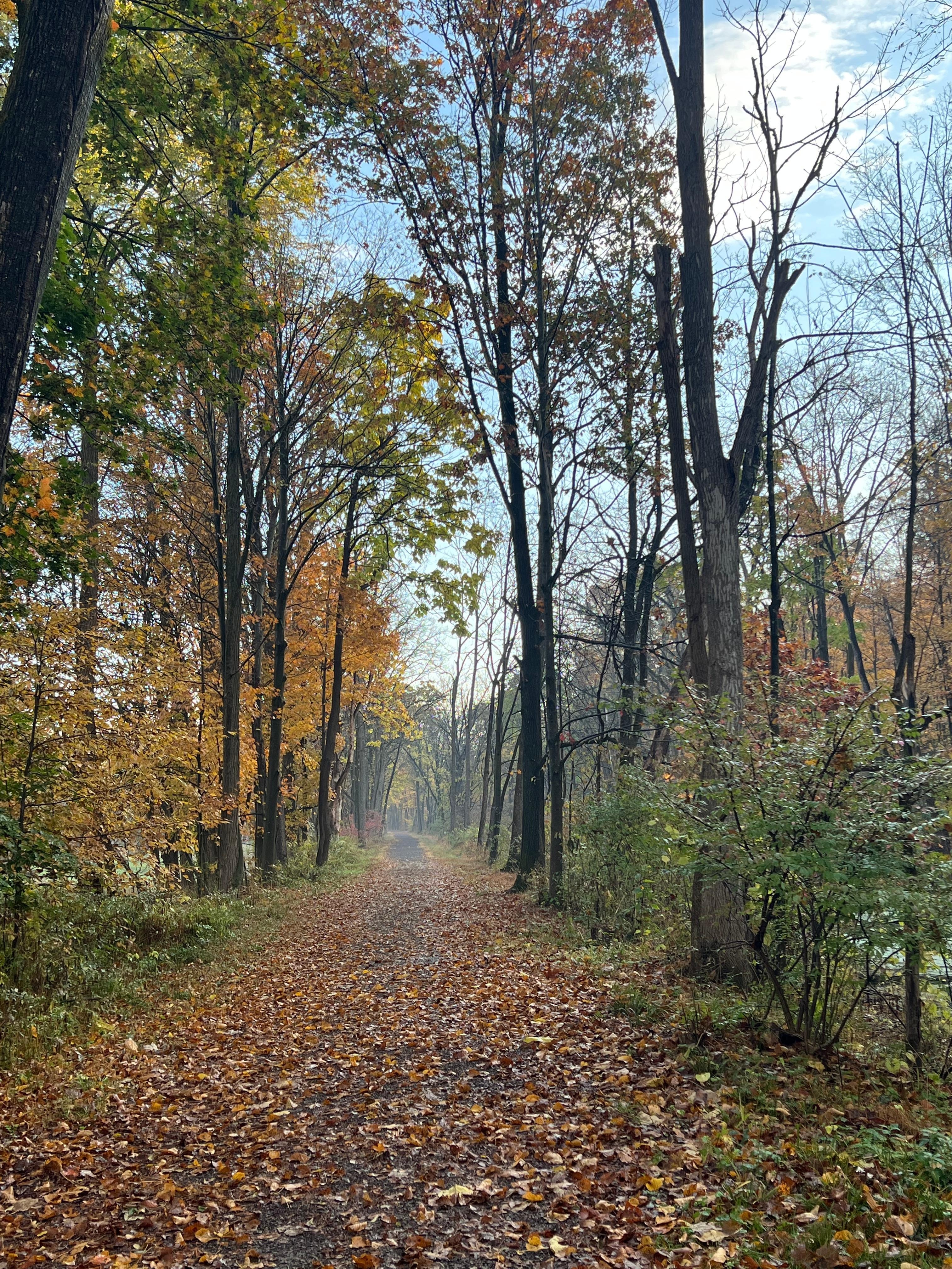 the walking trail immediatly adjacent to the cottage