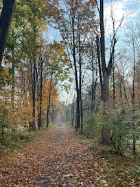 the walking trail immediatly adjacent to the cottage