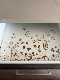 The draw were spoons and forks supposed to be look like this