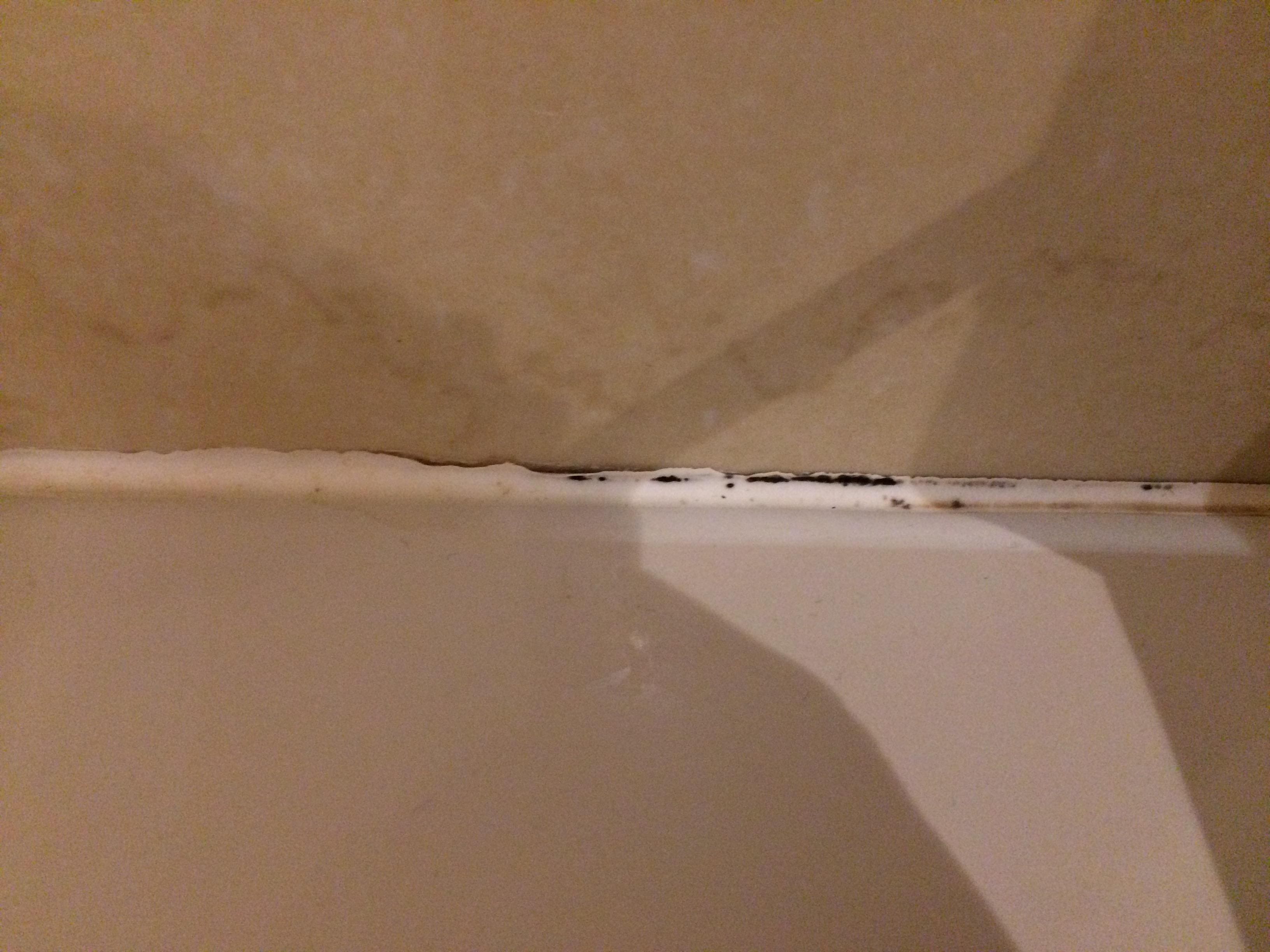 Schimmel im Bad (gab noch mehr Stellen)