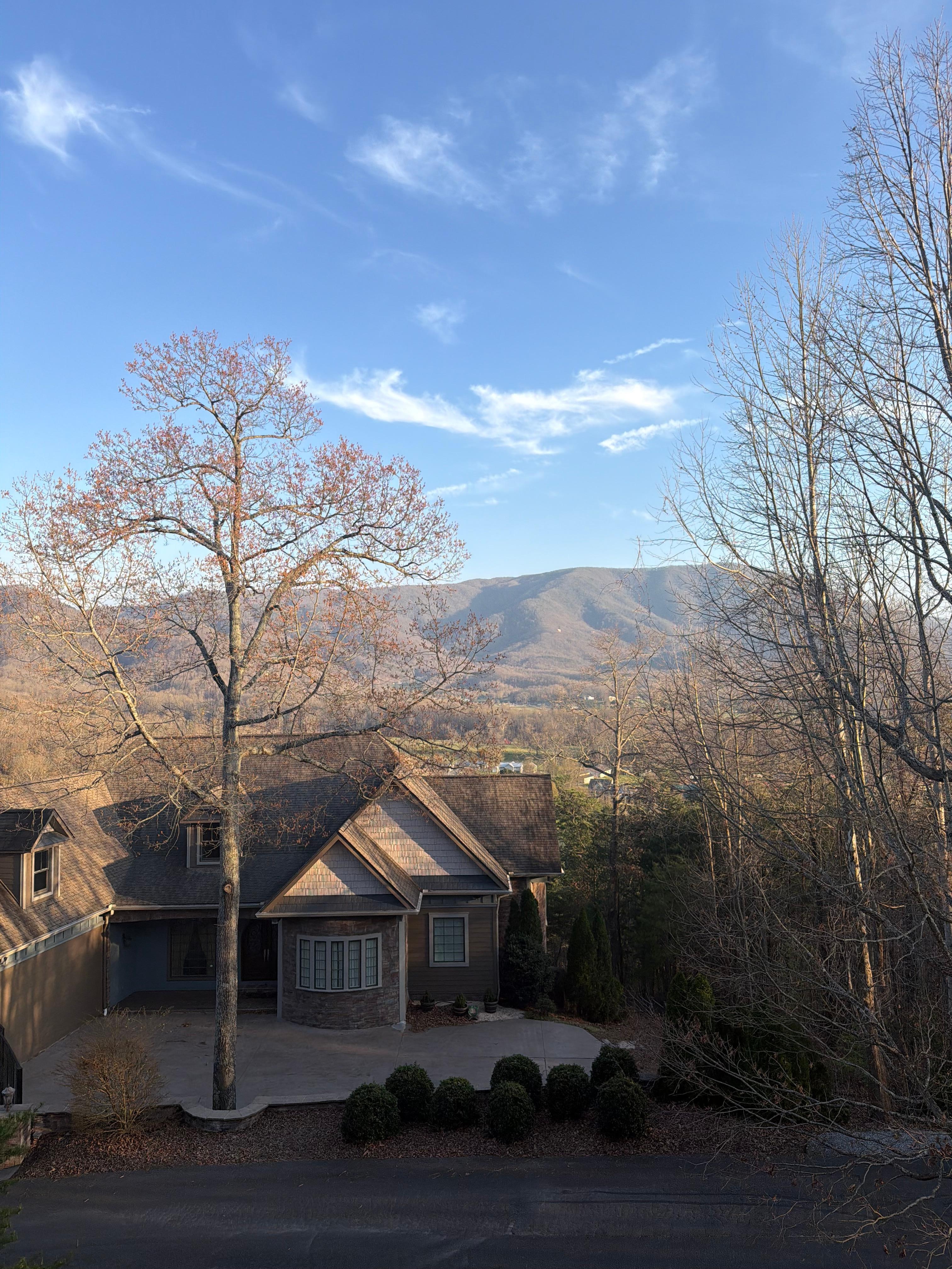 View of the mountain