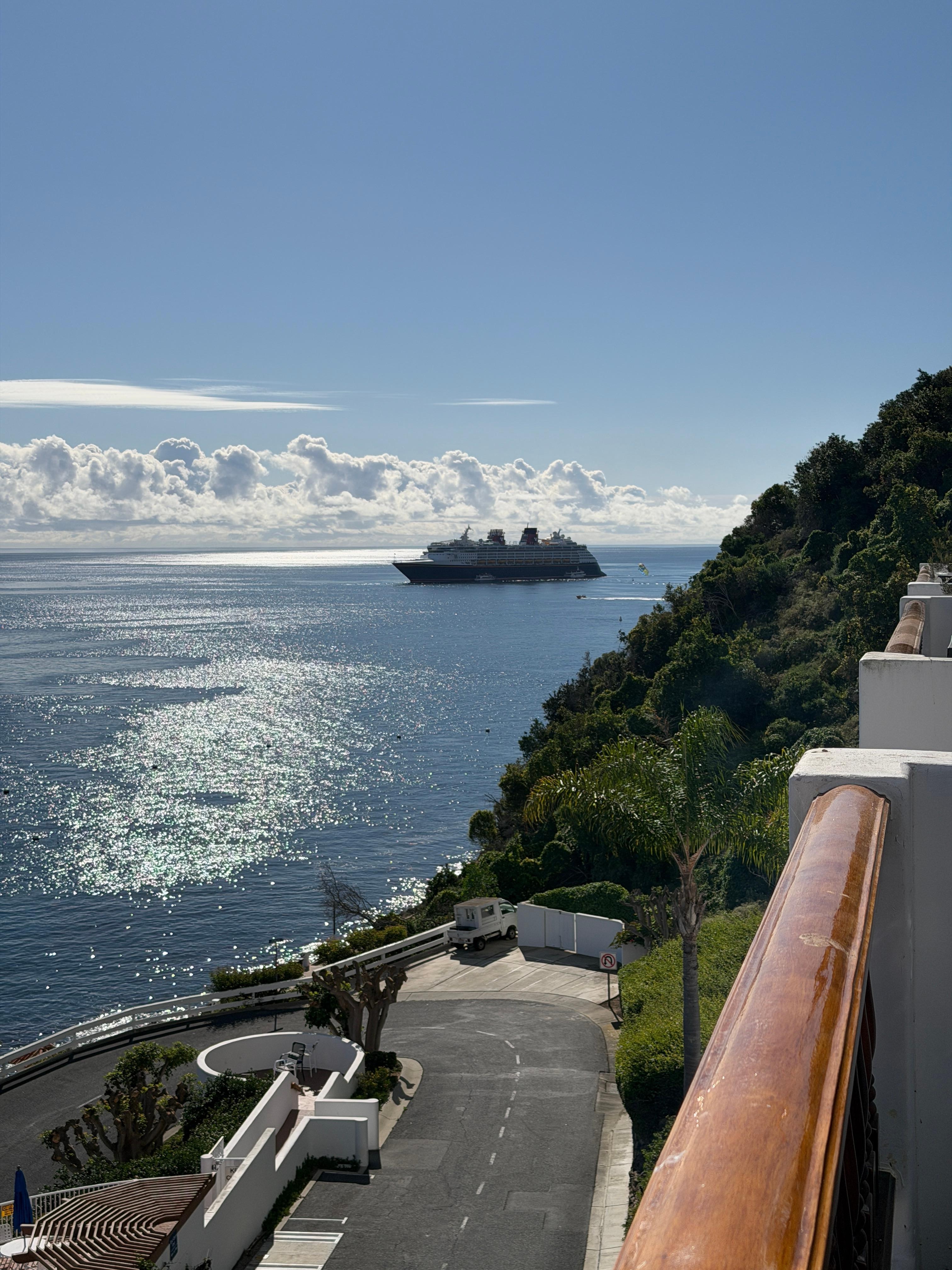 cruise ship in the distance