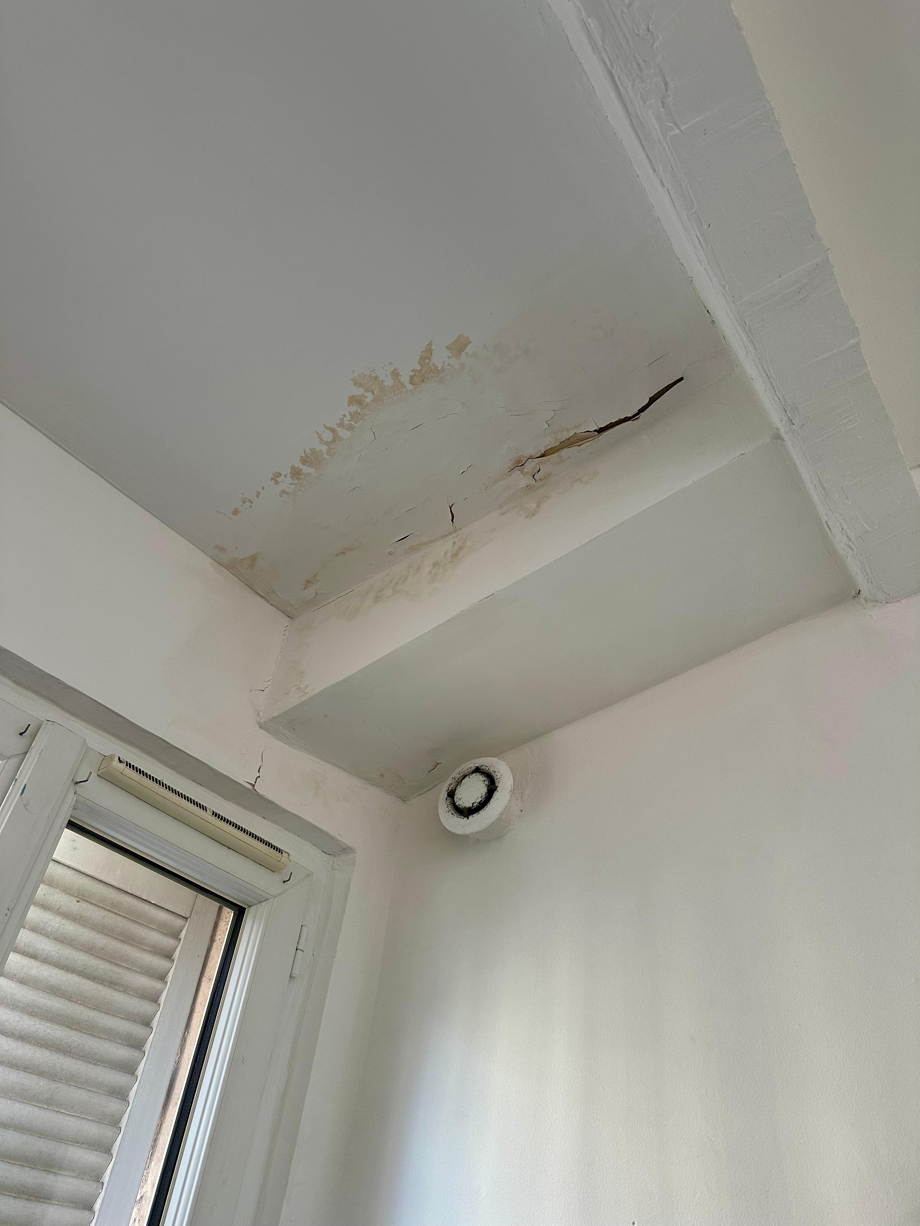 Black mould and damp to ceiling 