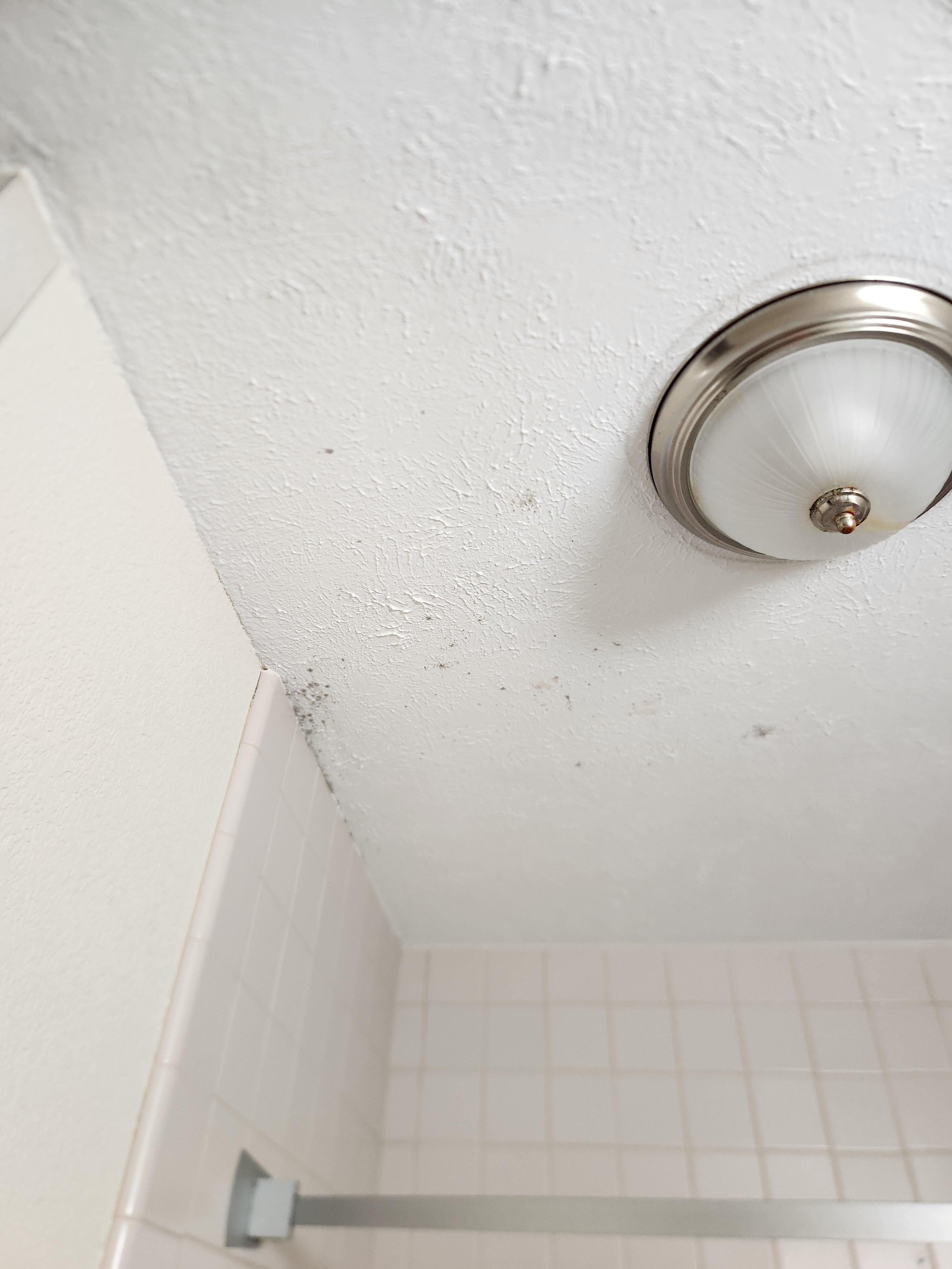 Black mold