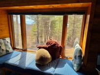 Skog and Biggie Briggie liked the view of Superior