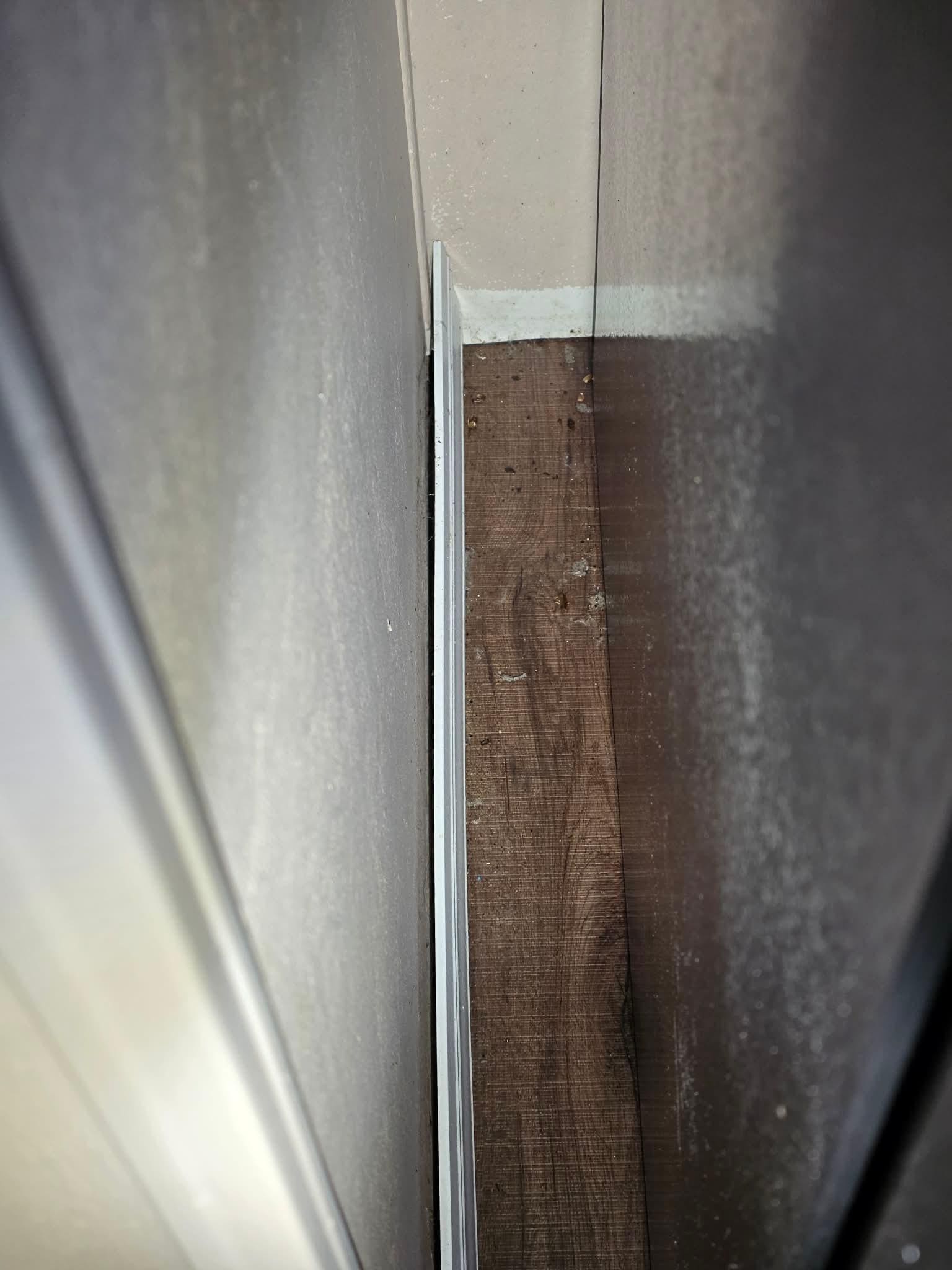 Active pest infestation