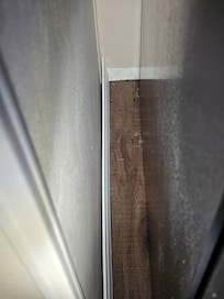 Active pest infestation