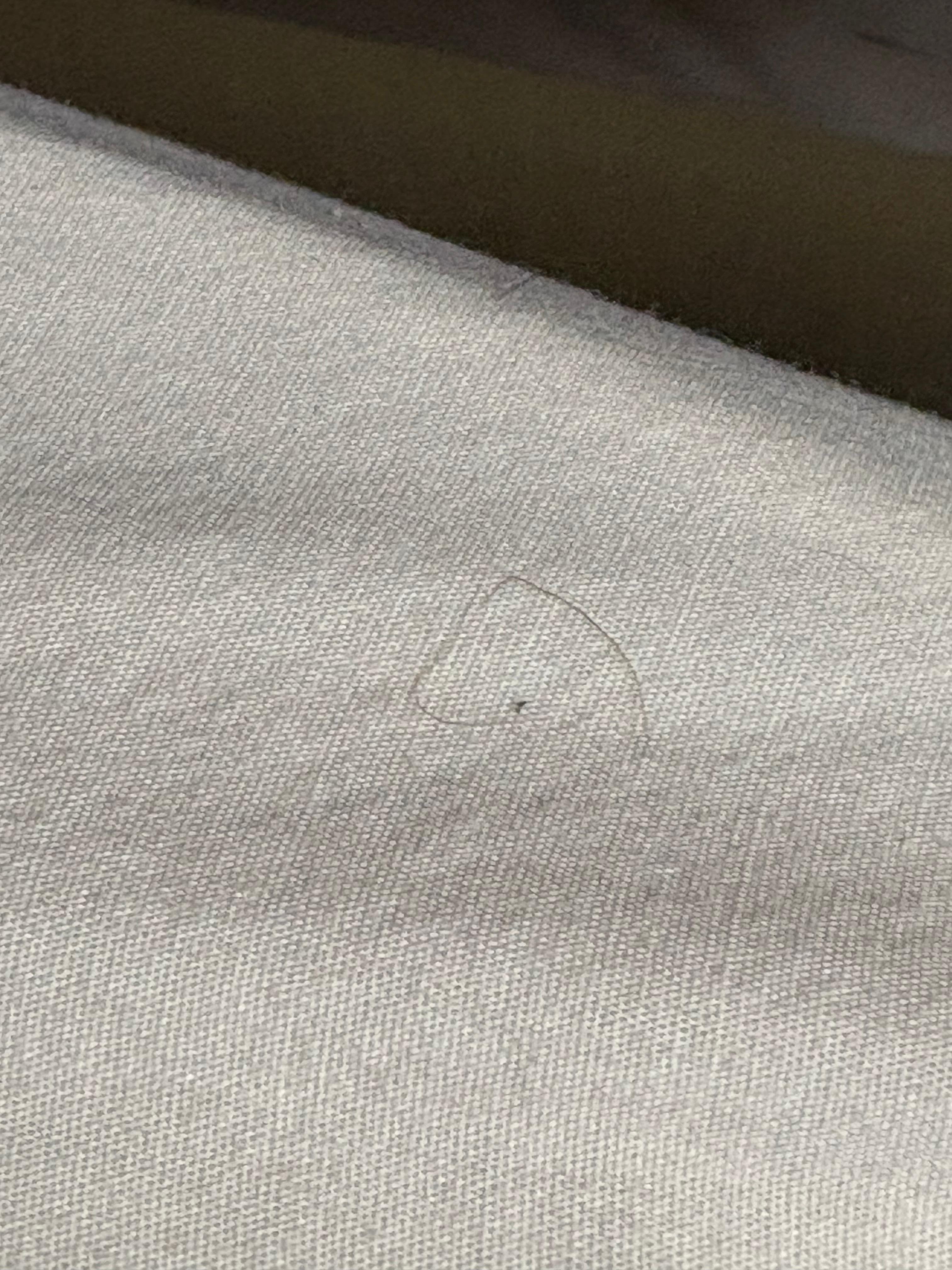 Hair on sheets