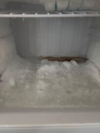 Freezer