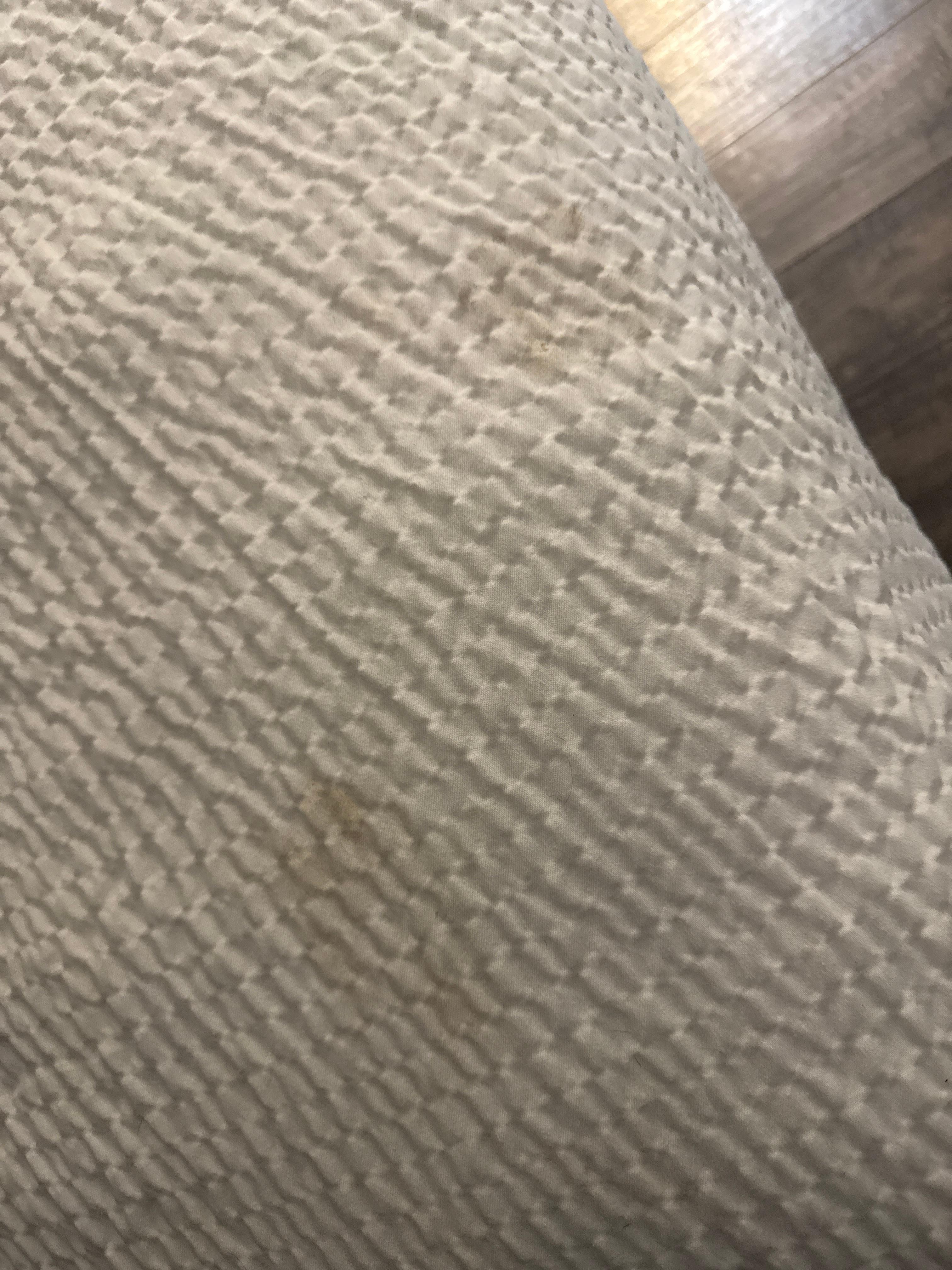 Pet prints on the bed spread 