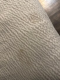 Pet prints on the bed spread