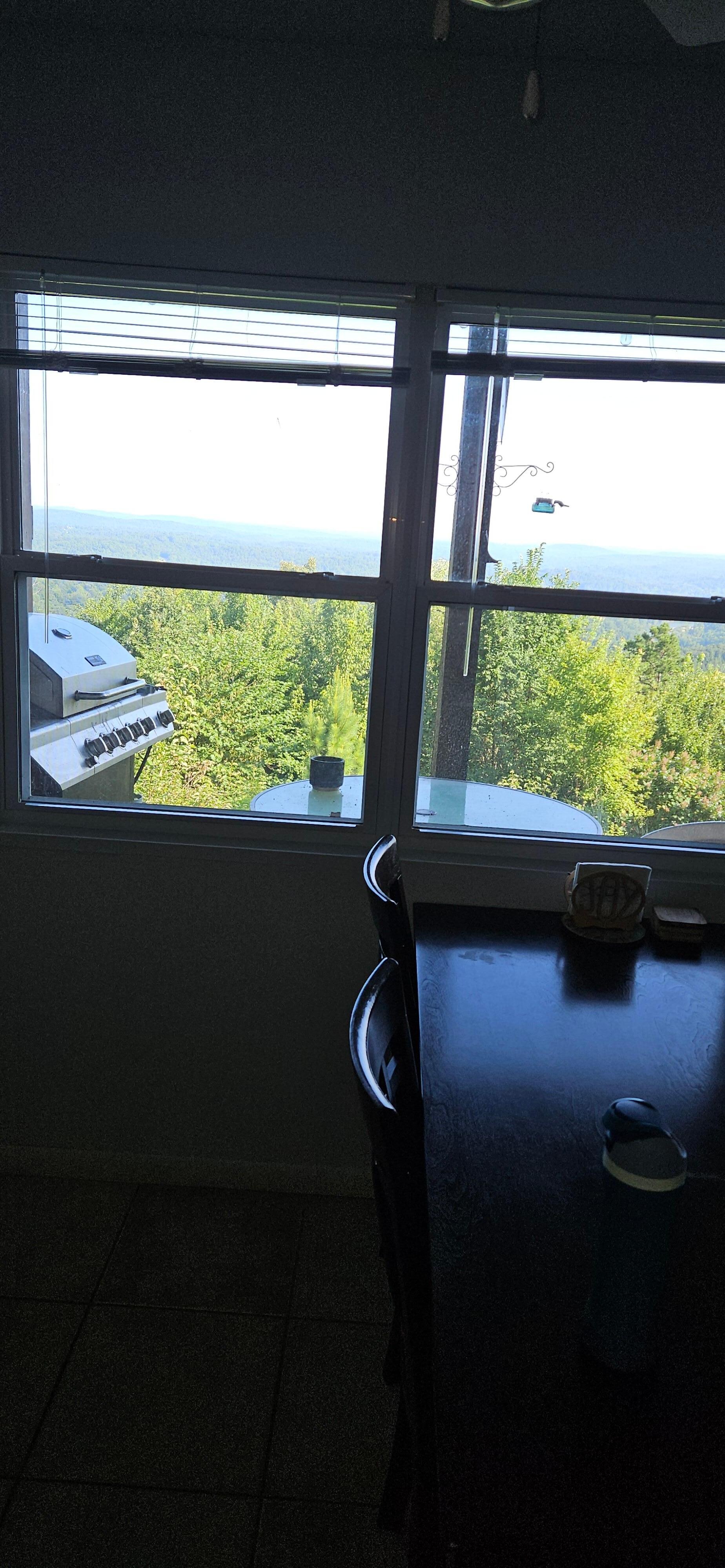 View from kitchen window