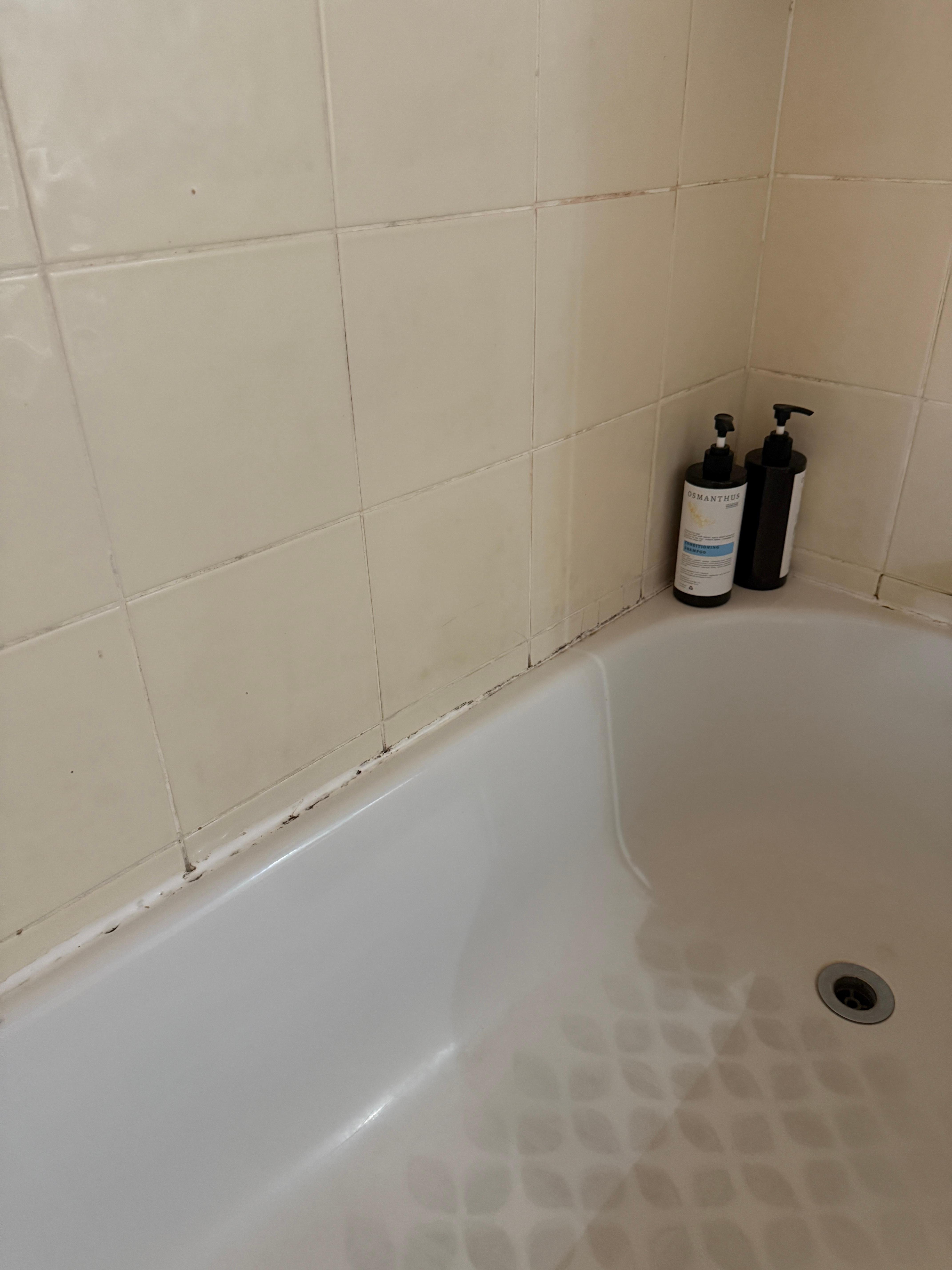 Mouldy silicone and grouting