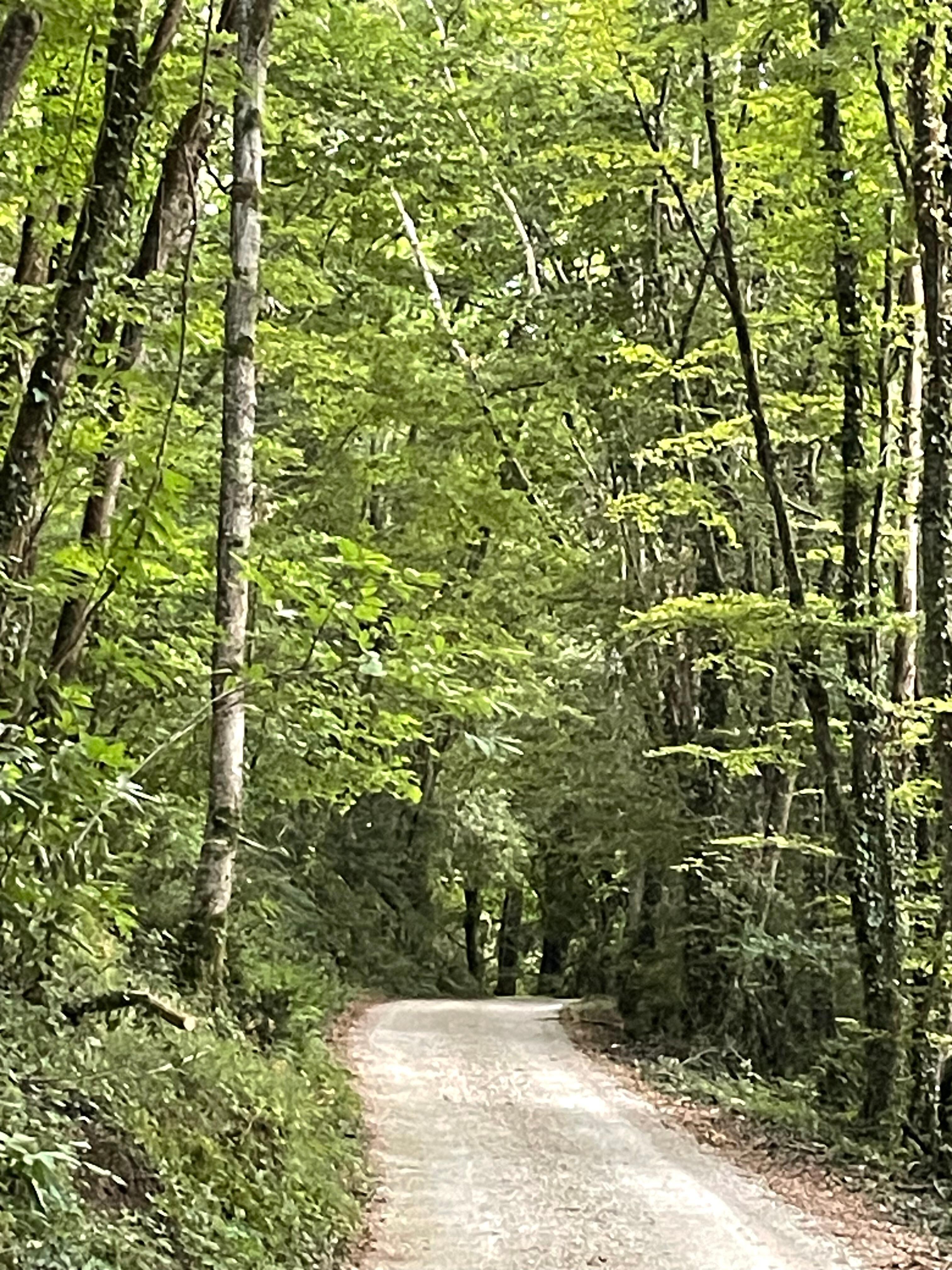 Route de Troubadours. A pretty walk nearby 