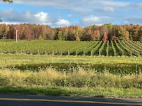View from the front of the house.