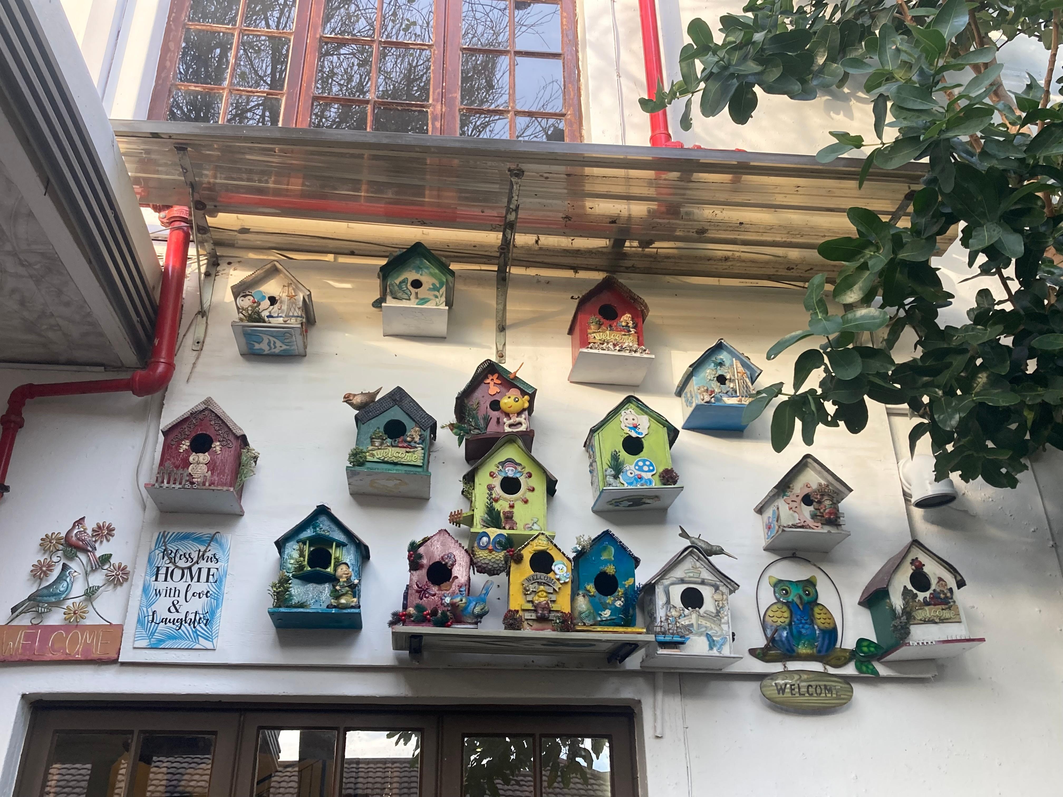 The hotel has a very charming collection of bird houses. 