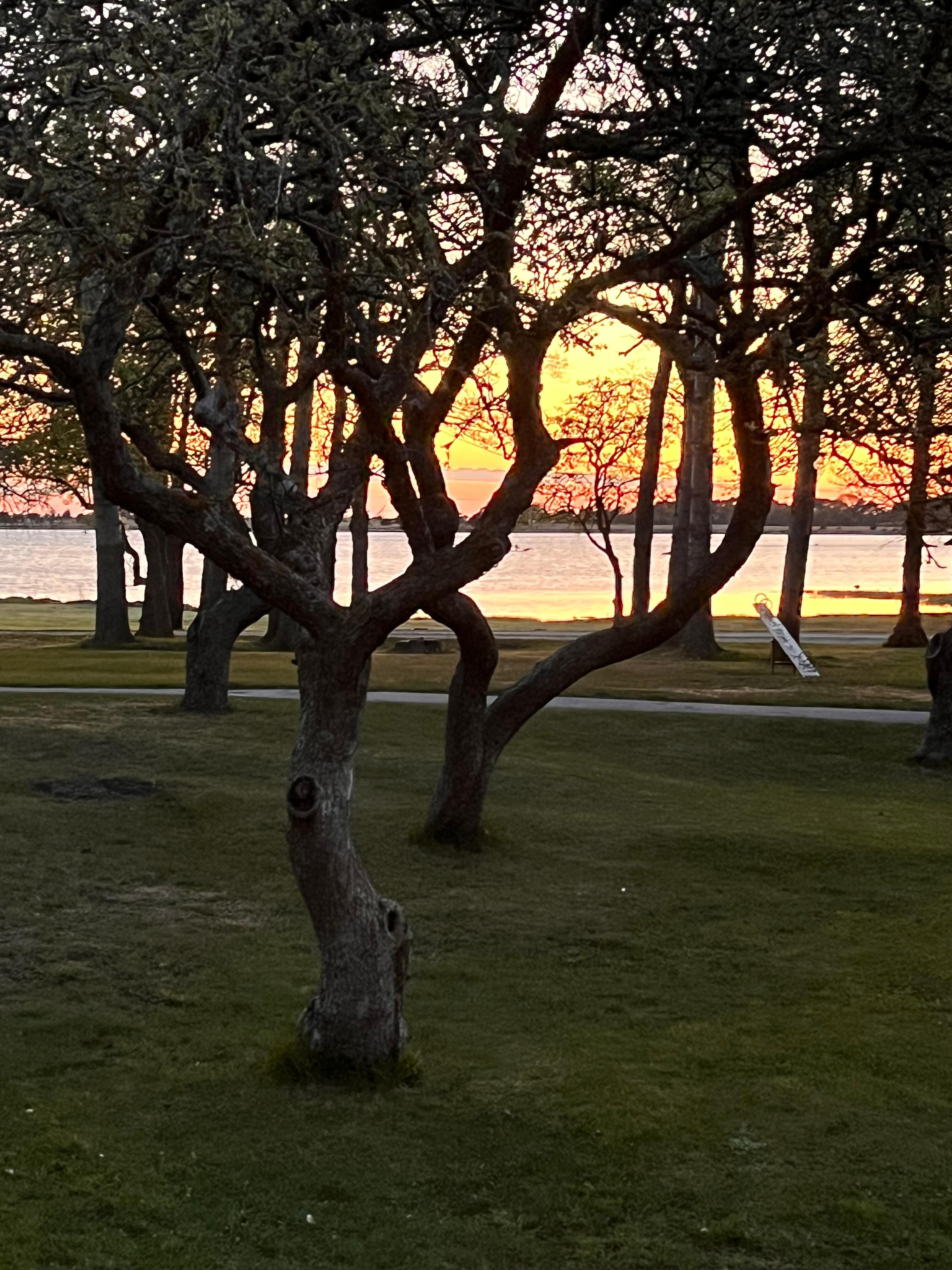 Solnedgang