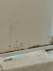 Moldy blinds in bathroom.