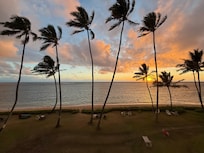 Sunrise from our first morning.