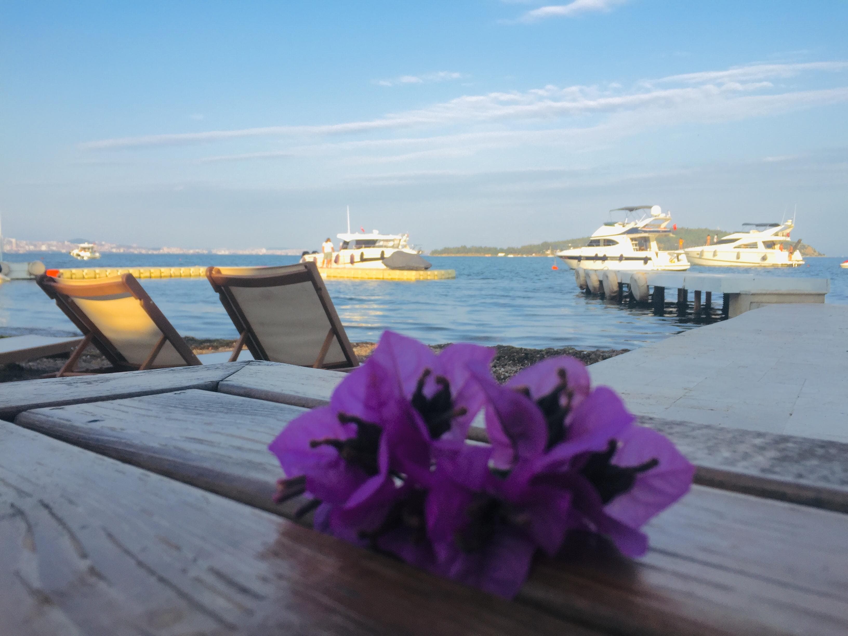 Güneşi batırırken 