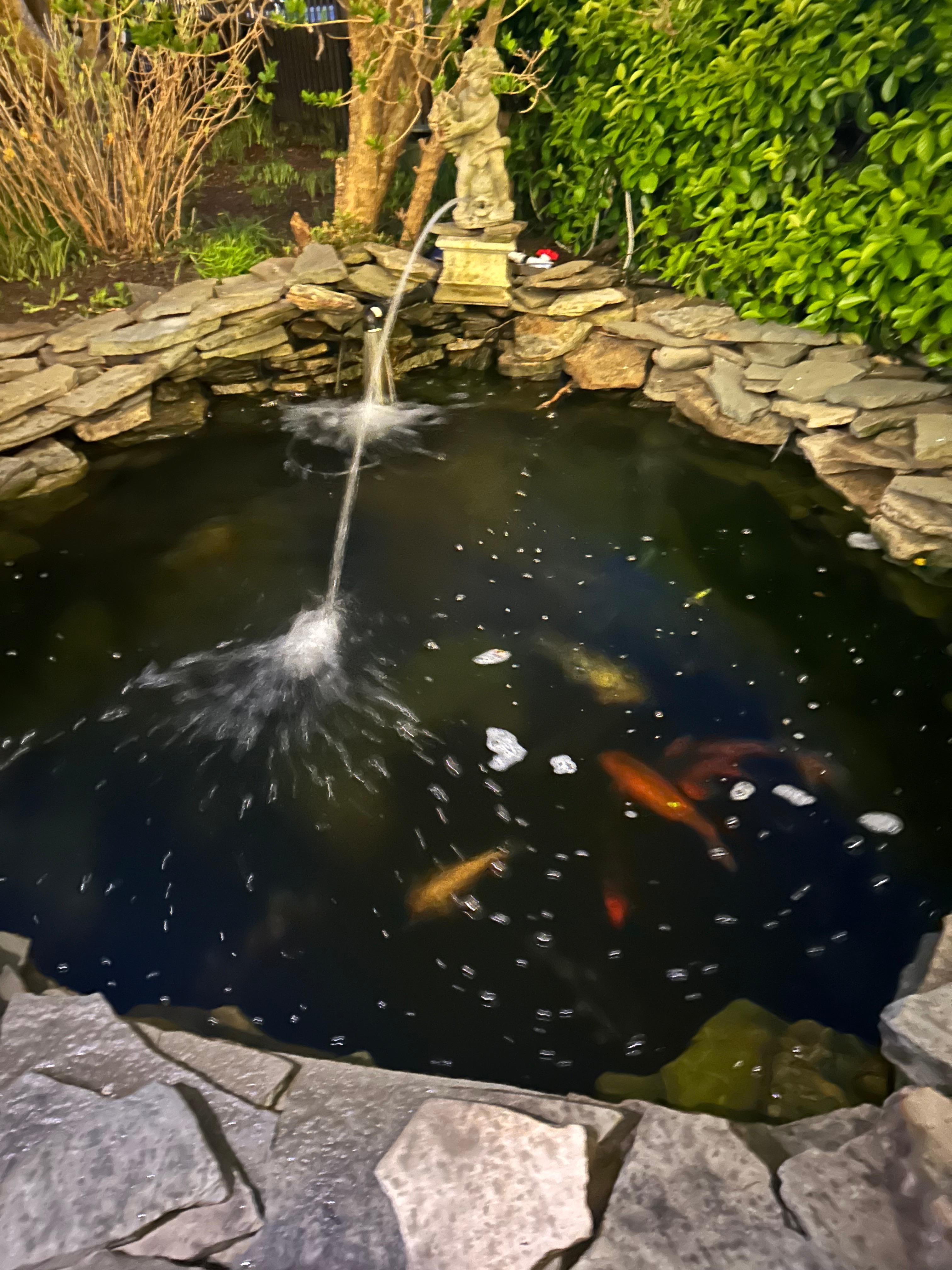 Fish pond