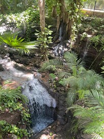 El sonido del río es unico