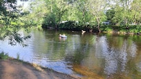 Promenade sur l eau