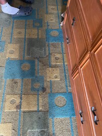 Carpet