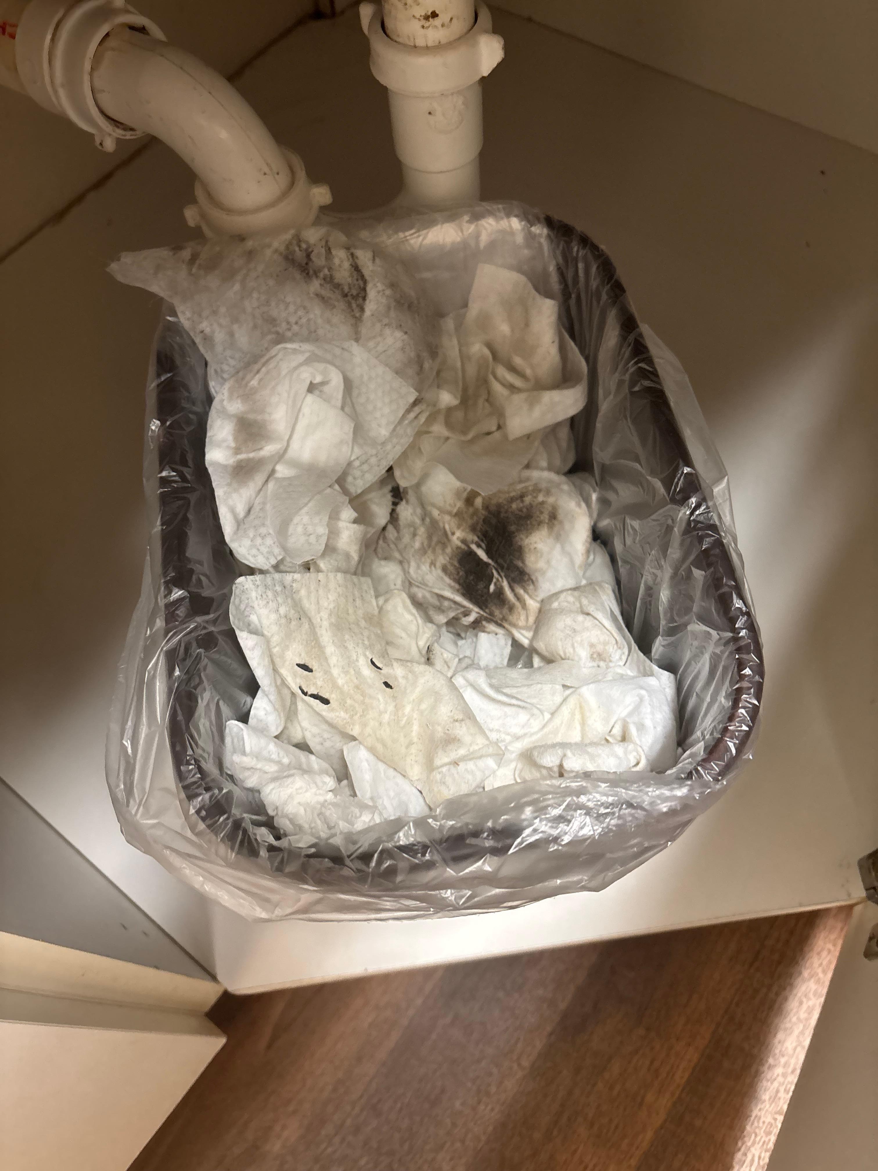 This is the bathroom trashcan. I used almost an entire Lysol wipes container wiping all of the disgusting surfaces. Doors door handles headboard light switches. It was all gross.