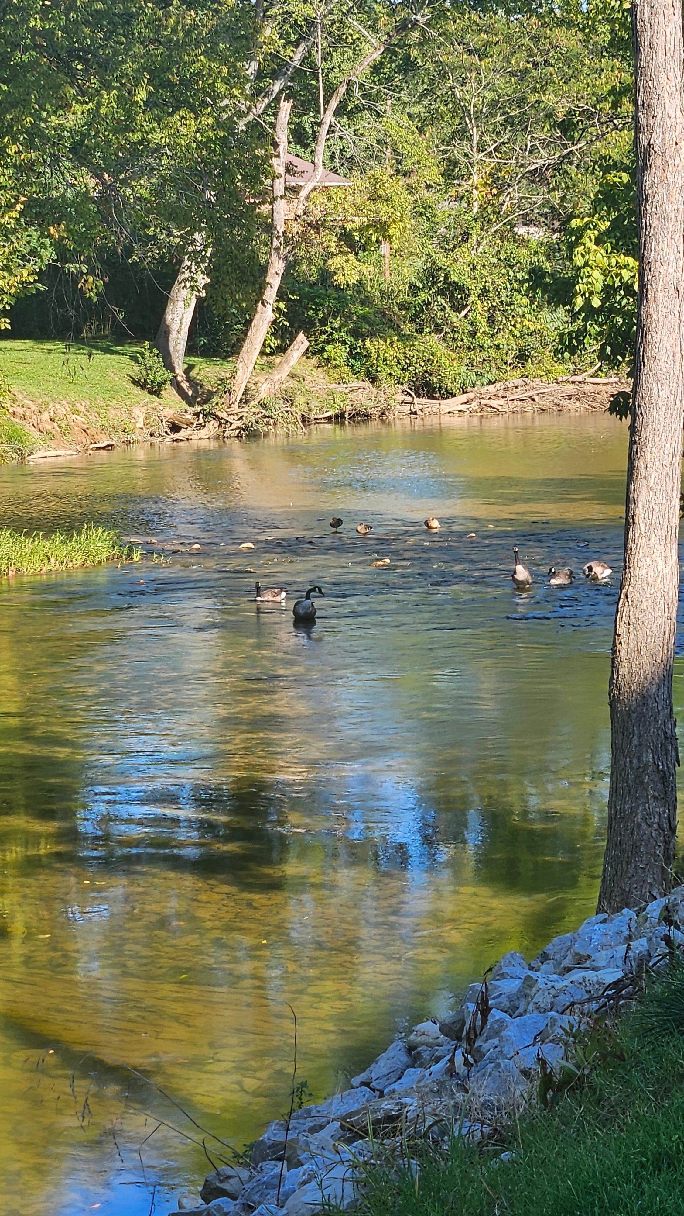 River that runs behind the motel is a great place to sit and unwind.