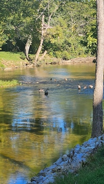 River that runs behind the motel is a great place to sit and unwind.