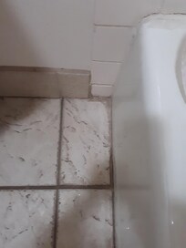Floor tile and edging was dirty