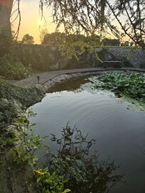 The bottom carp pool, looking out towards the sunset.