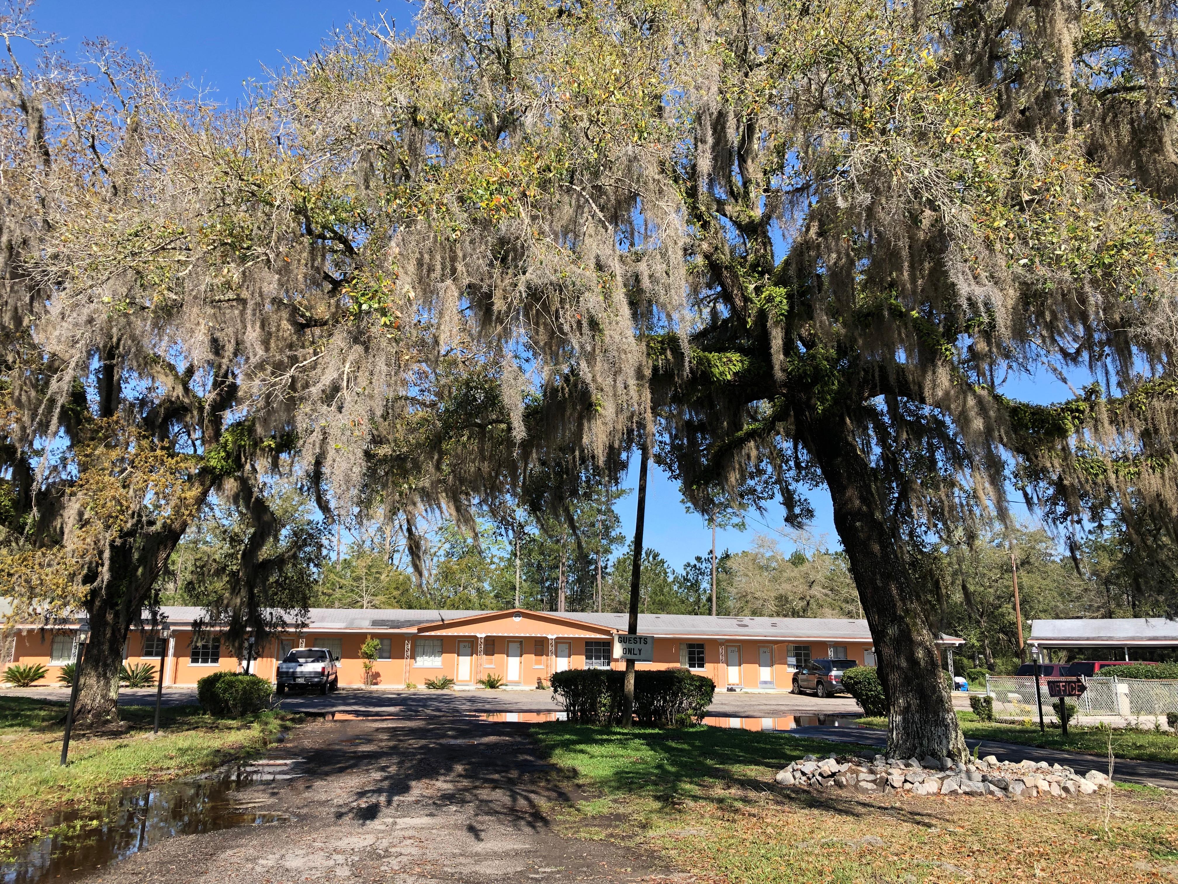 mid century motel with live oaks and spanish moss 