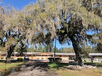 mid century motel with live oaks and spanish moss