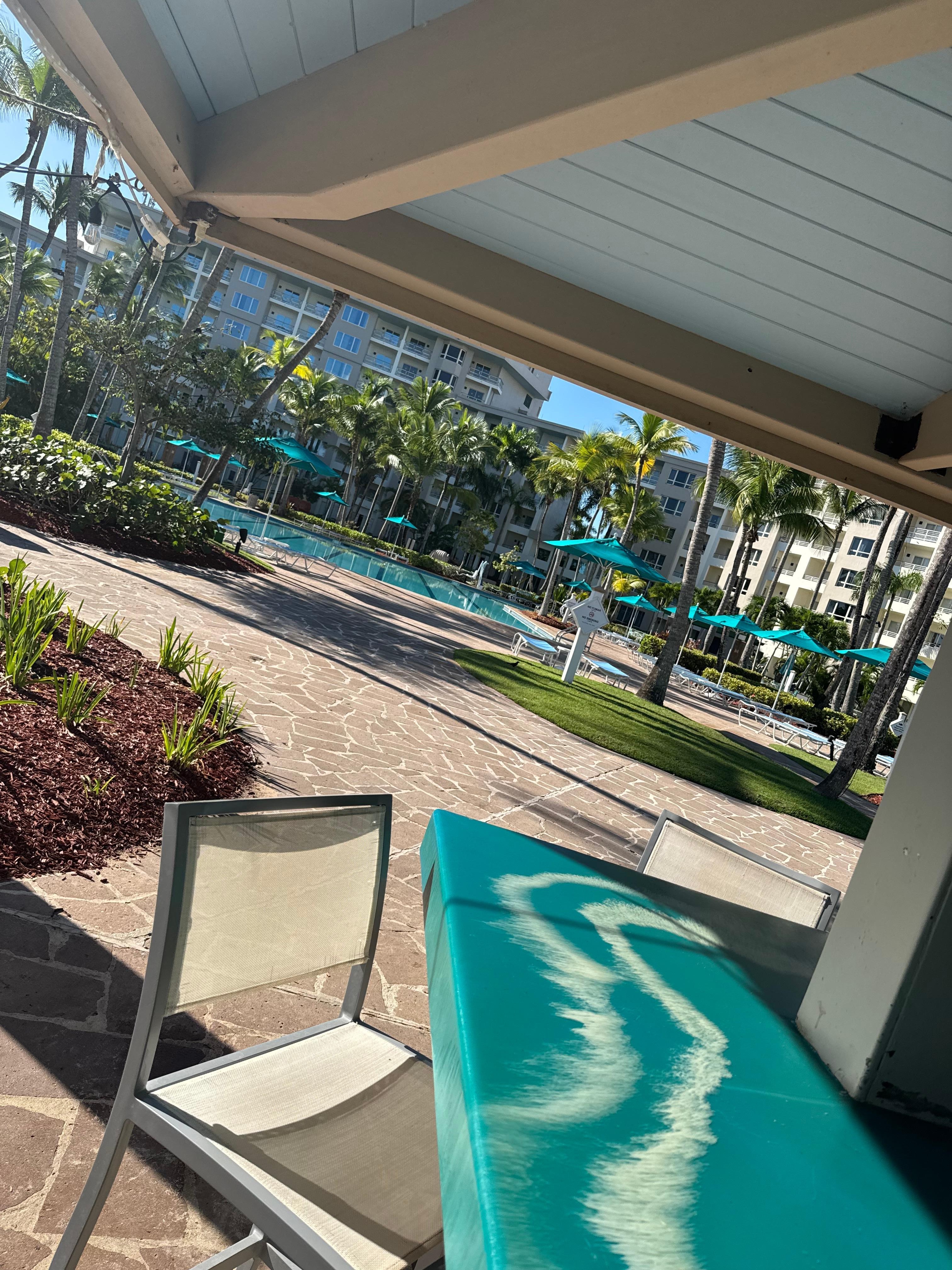 Picture near the pool