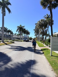 Bike rentals available on the same street.